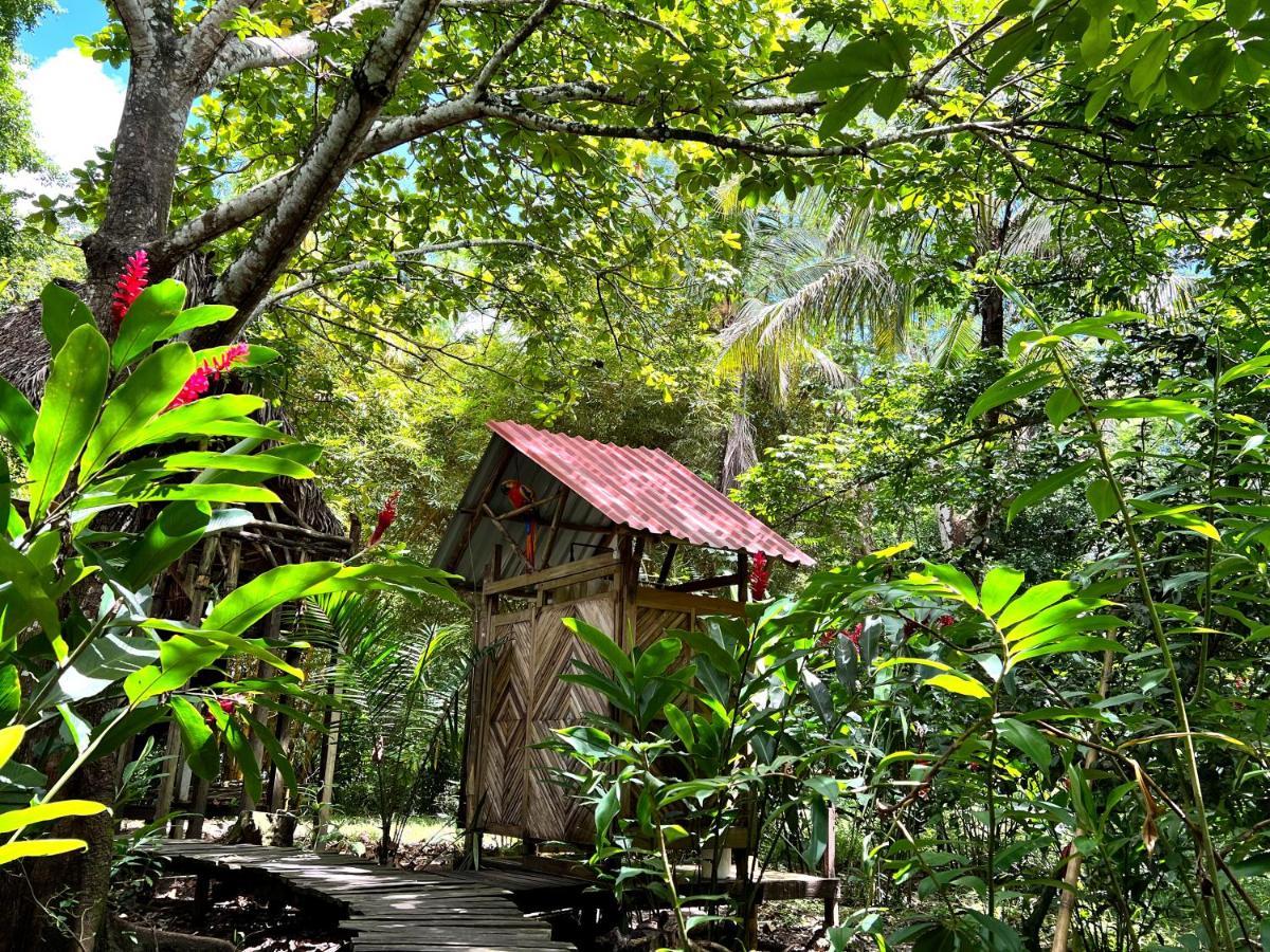 Cabanas Bambutan Palenque Extérieur photo