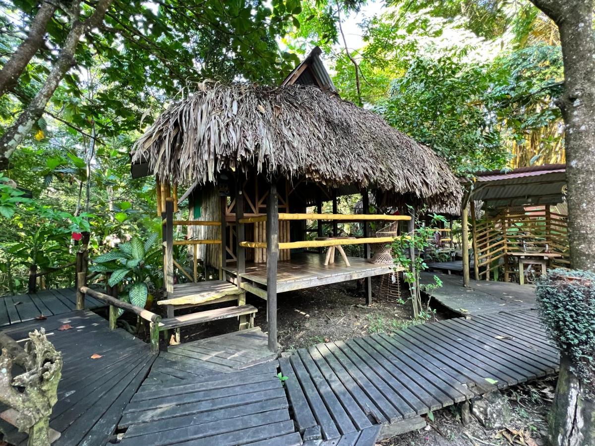 Cabanas Bambutan Palenque Extérieur photo