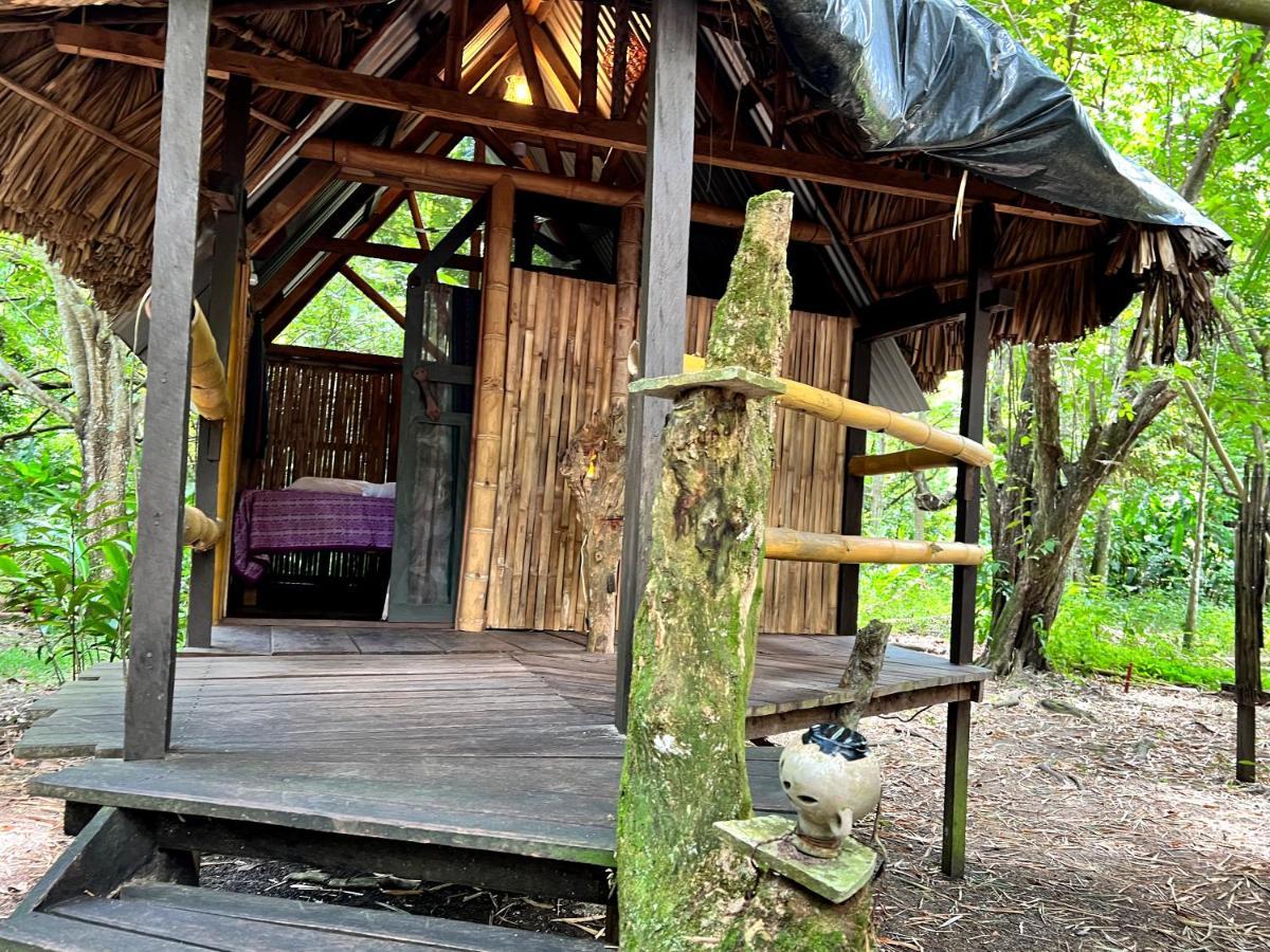 Cabanas Bambutan Palenque Extérieur photo