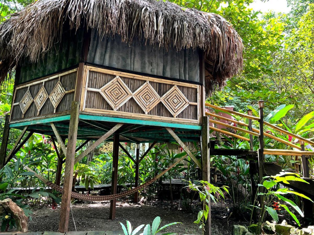 Cabanas Bambutan Palenque Extérieur photo