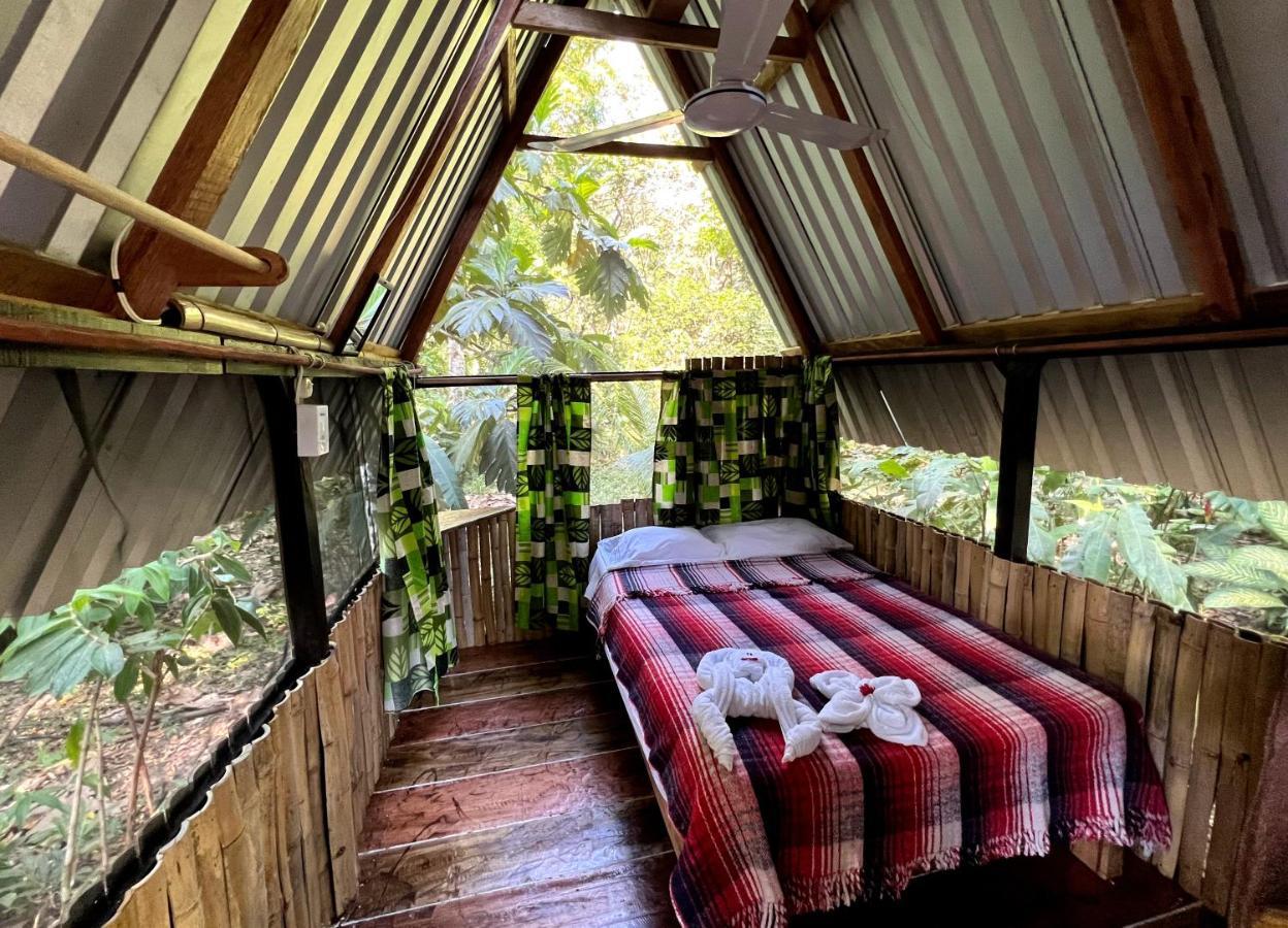 Cabanas Bambutan Palenque Extérieur photo