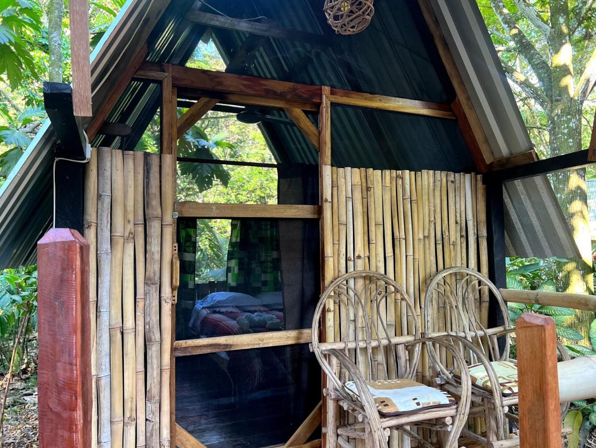 Cabanas Bambutan Palenque Extérieur photo