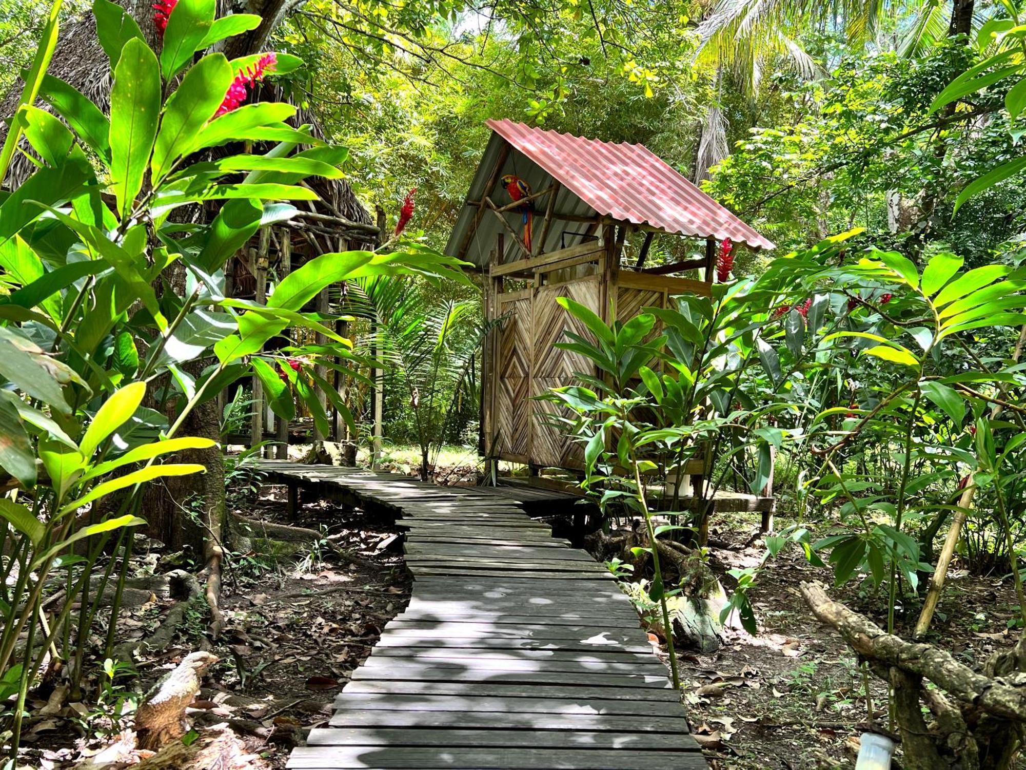Cabanas Bambutan Palenque Chambre photo